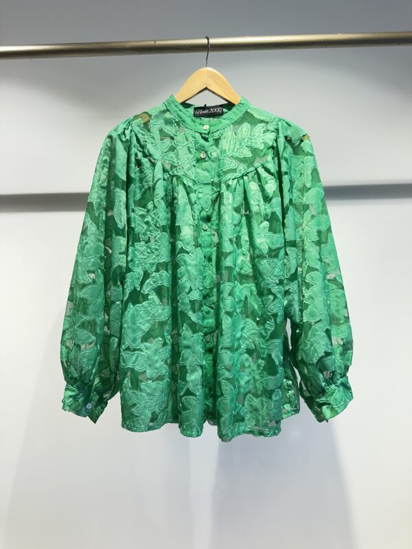 Organza appliqué blouse