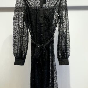 Sheer sequins dress with a slip