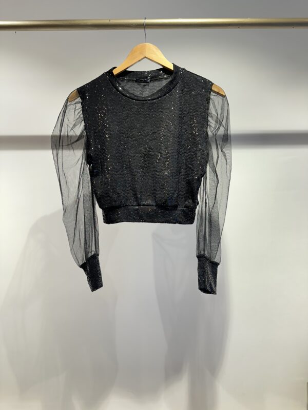 Sequin top with net sleeves